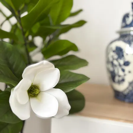 Ai Due Ponti * La Spezia